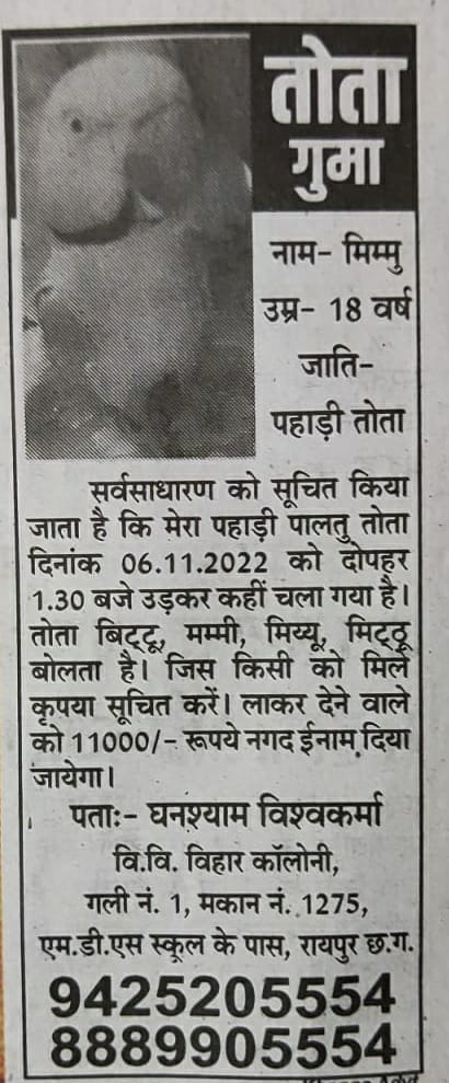 गुम गया है तोता... खोज़ कर लाने वाले को मिलेगा 11 हजार का ईनाम